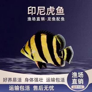 �ļyӡ�Ợ�~�絭ˮ�^�p�~̩�����y���ļy�Ꭷ�~�K���~���w�~���~