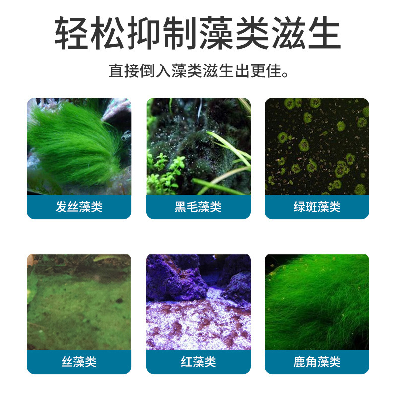 意牌魚かめは苔剤を除いて藻を取り除いて緑の水を取り除いて苔の素の水槽を除いて藻の薬を取り除いて苔の薬剤を取り除きます。|undefined