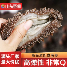 海参;水产礼盒类;水产干货类