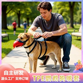 宠物拾便袋;猫猫食具;嘴套