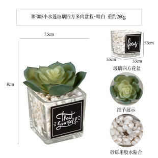 ����Сˮɏ�N�����N�������������� ����[������ֲ���ʯ������