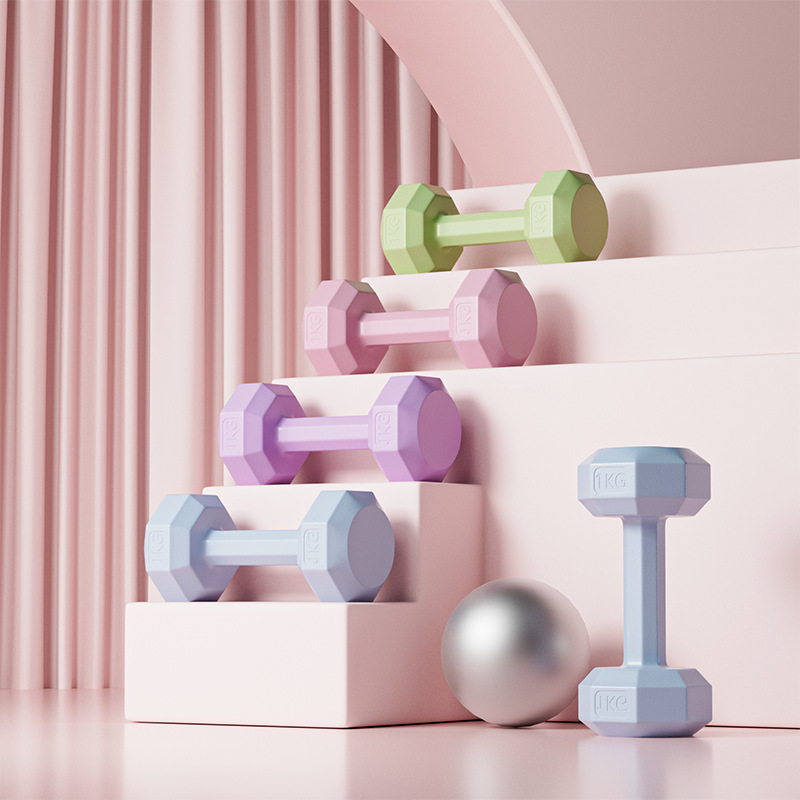 Dumbbell Women's Fitness Equipment Home Slim Belly Barbell Kettlebell Kidsren and Adolescents Female Small Dumbbell 2kg Pair