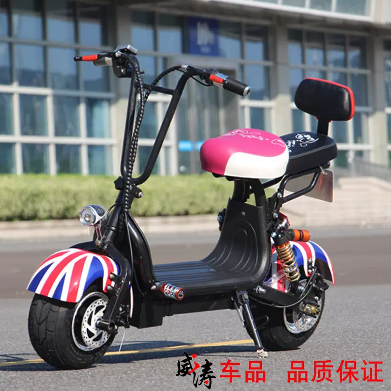 哈瑞雷斯电瓶车48V锂电池迷你小哈雷电动车可折叠成人电动滑板车