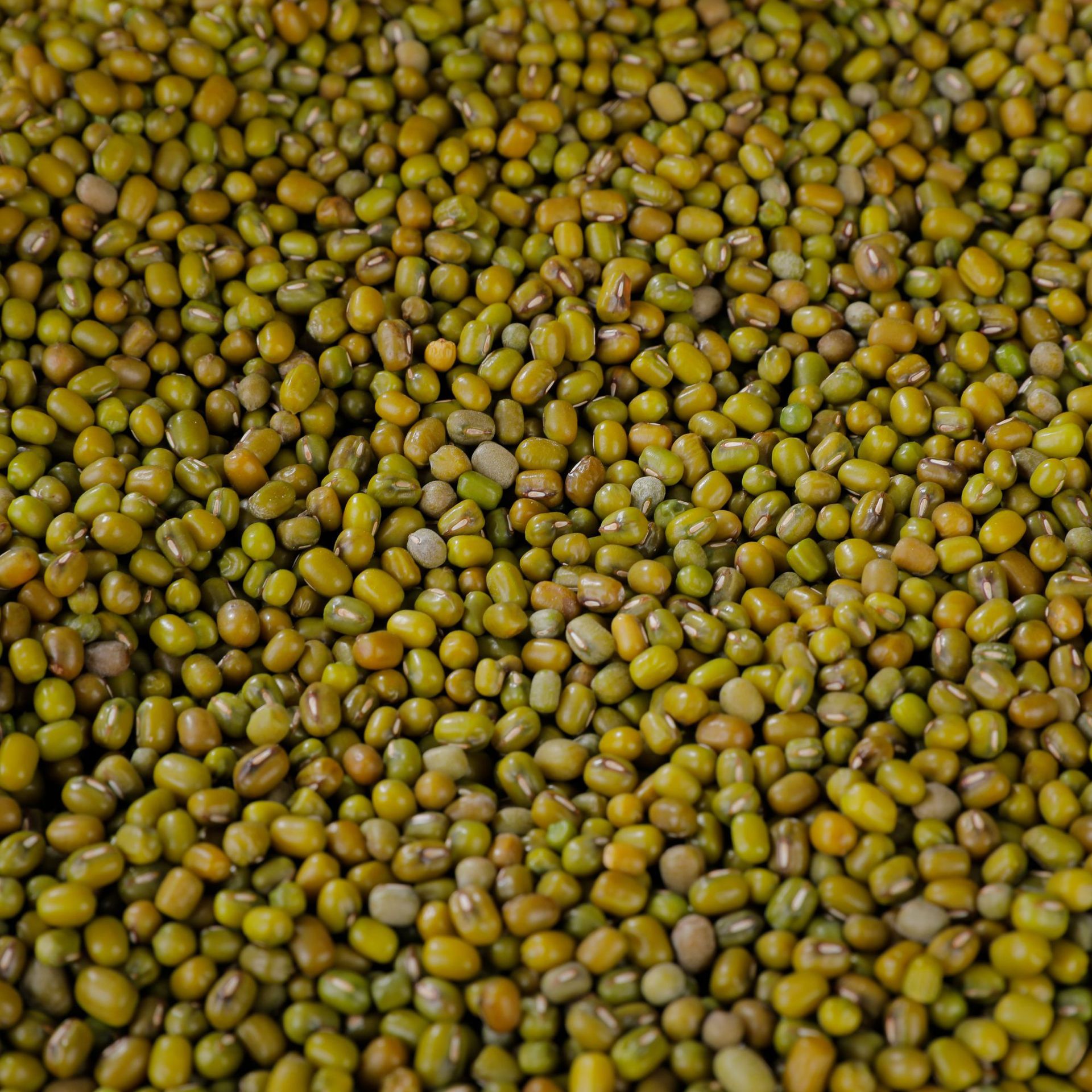 [ֱ��ר��]�̶�ɽ���ز��̶������̶�����������̶��ϼ�ũ��Ʒ