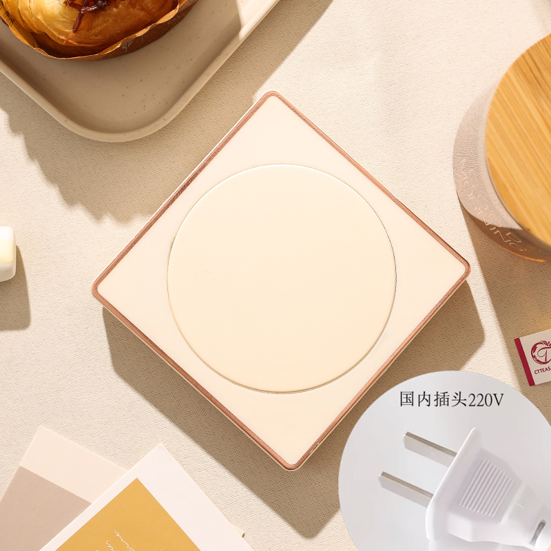 살구 220V 국내 버전