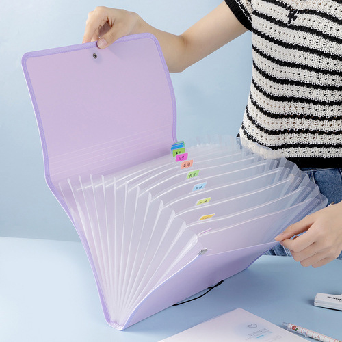A4 exam paper storage bag, study file bag, book storage bag, primary and secondary school student accordion bag, exam folder