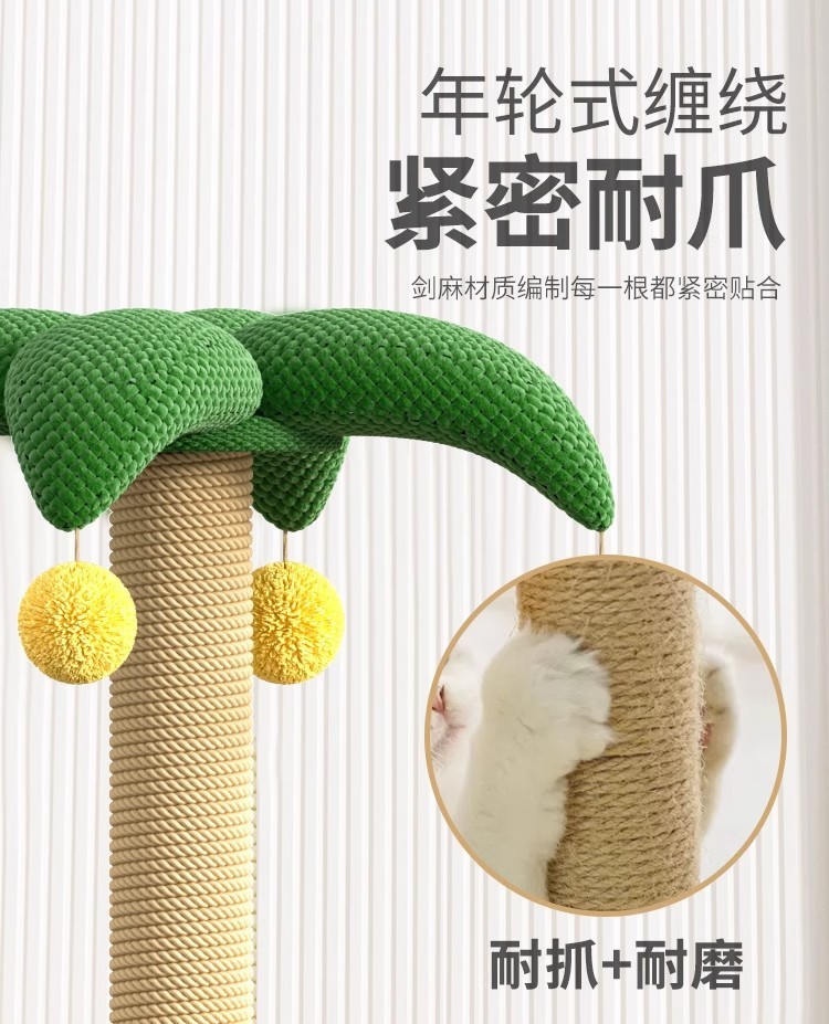 3b36412b-9de7-4c60-b162-00bbdaa2e29f.jpe