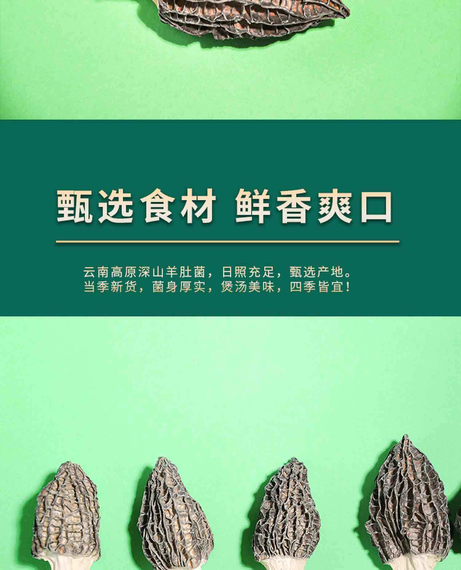 Yunnan Wild Mushroom Gift Box Dried Morel and Chanterelle Soup Pack 355g Nine Mushroom Assortment quality and texture