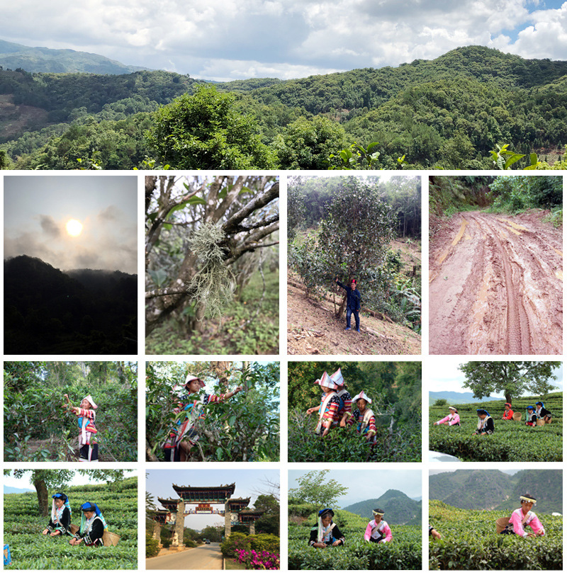 详情页下部通栏1副本