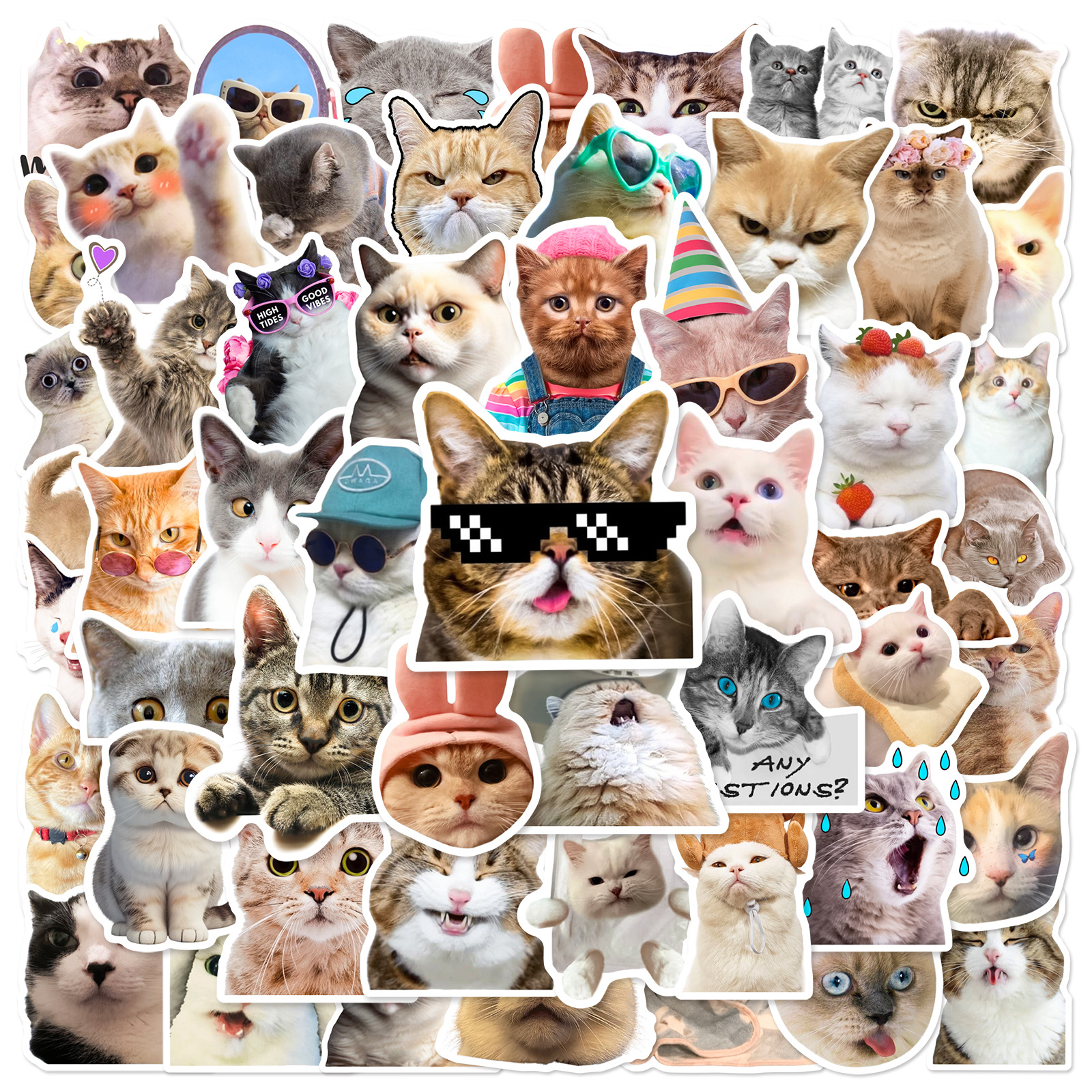 1 Set Cat Graduation Pvc Simple Style Stickers display picture 1