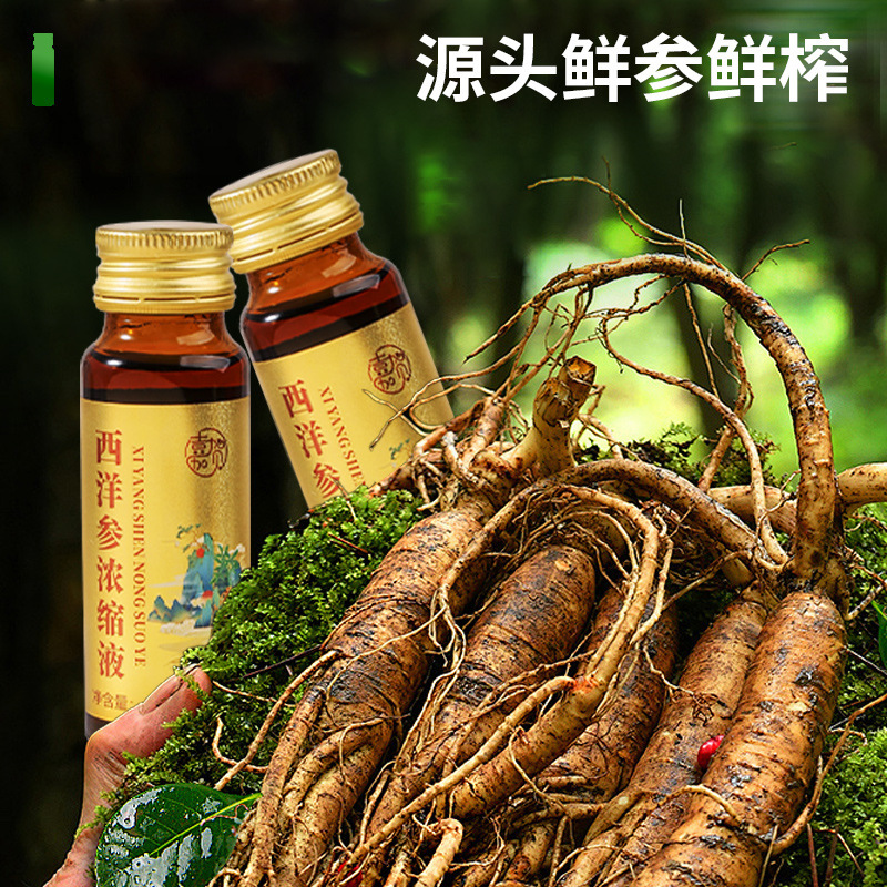 西洋参浓缩液50ml文登西洋参原浆口服液贴牌定制私域直播集采代发|undefined