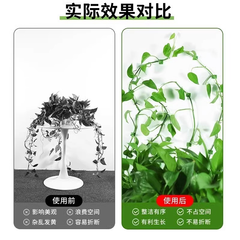 绿萝爬墙固定器绿植攀爬绿植爬墙神器夹子墙上无痕挂钩粘爬藤杆子|undefined