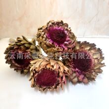 ���M�����E�������ɻ������Ϸǰ������߶˸ɻ��ļҾӵ���b廨