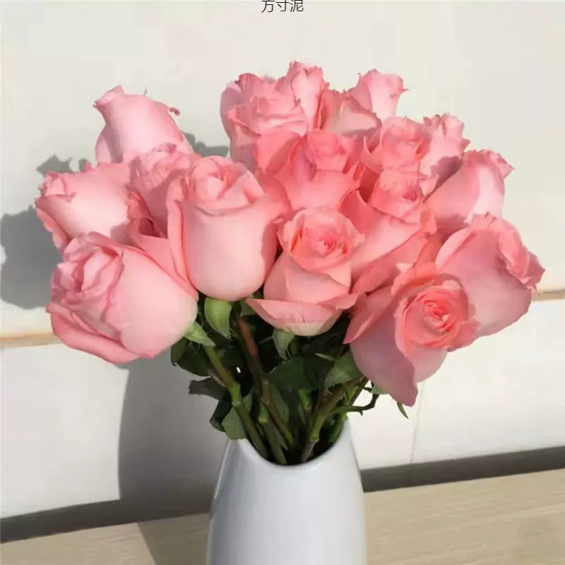 云南玫瑰鲜花基地直发玫瑰百合康乃馨向日葵洋桔梗鲜花速递日批发