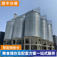 粮食储存钢板仓 新型圆形储粮仓 农用立式筒仓