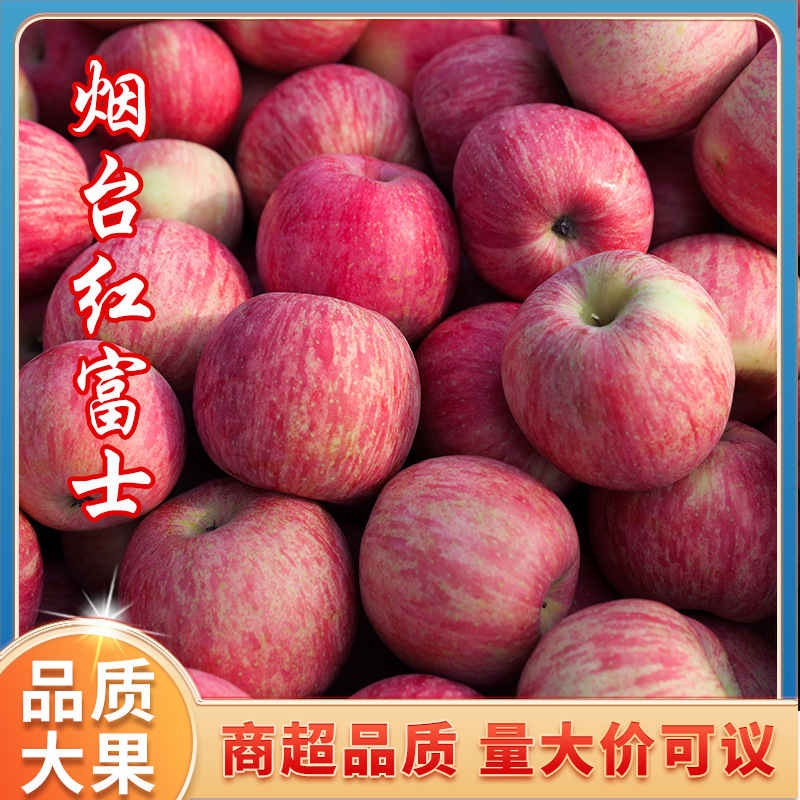Yantai Qixia Red Fuji Apples, Crisp, Sweet, and Juicy Fruits, Whole Box with Free Shipping, Wholesale and Gift Box Delivery, Yantai Apples Yantai Qixia Red Fuji Apples, Crisp, Sweet, and Juicy Fruits, Whole Box with Free Shipping, Wholesale and Gift Box Delivery, Yantai Apples