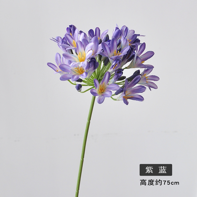 보라색 파란색