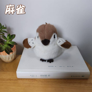 �羳������ȸ��ż�����ͨ�ɐۼ�ȸС�B���а������耳׿۶Y��Ů