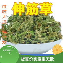 伸筋草中药材500克正品旗舰店野生小伸筋草中药透骨草白芥子泡脚