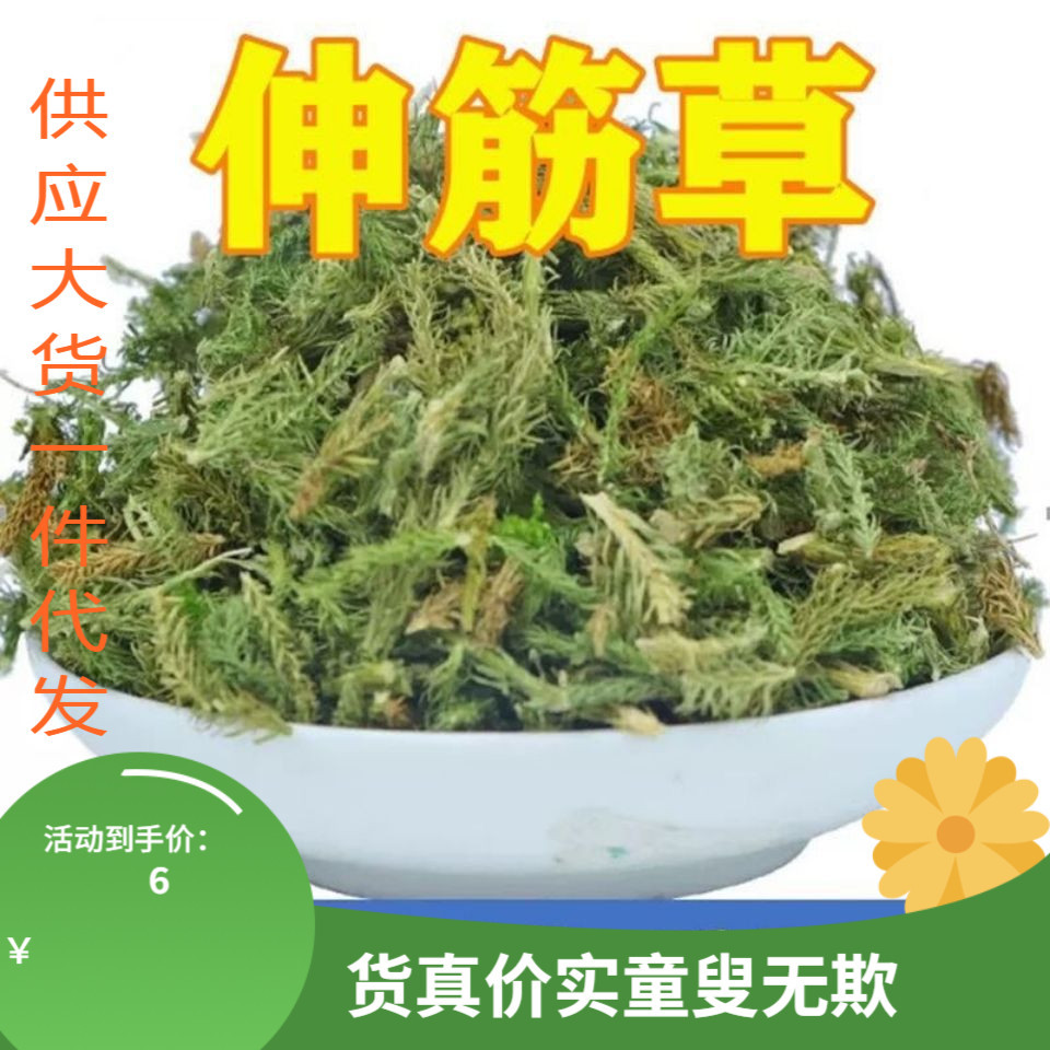 伸筋草中药材500克正品旗舰店野生小伸筋草中药透骨草白芥子泡脚