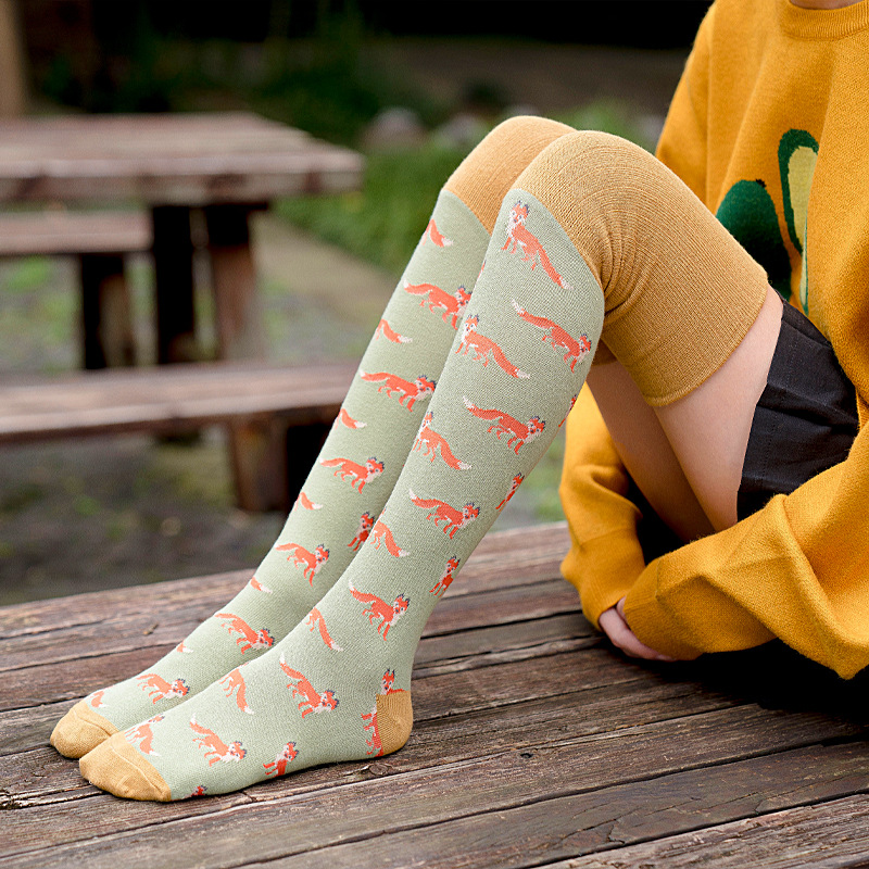 Calzini lunghi sopra il ginocchio da donna in cotone con fenicotteri, stile cartoon, autunno inverno 2025d, alla moda, per studenti_voghion.com