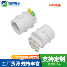 RJ45ǰ8��6��·��ˮĸ������β�� ����RJ45ˮ���^8P6C��ˮĸ��