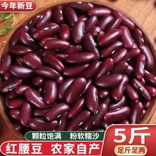 大红豆 云南红腰豆商用 新货贵州农家自产红芸豆豆沙豆馅豆类批发