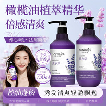 控油蓬松洗发水薰衣草洗发露清洁头皮平衡油脂持久留香洗发乳批发