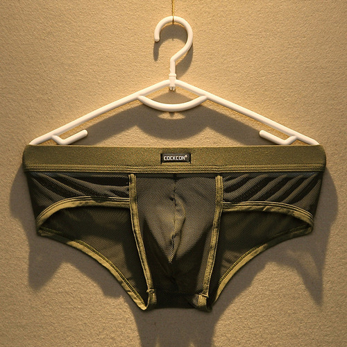 Men's underwear new style briefs mesh U convex bag sexy low waist sexy factory direct sales wholesale men's pants