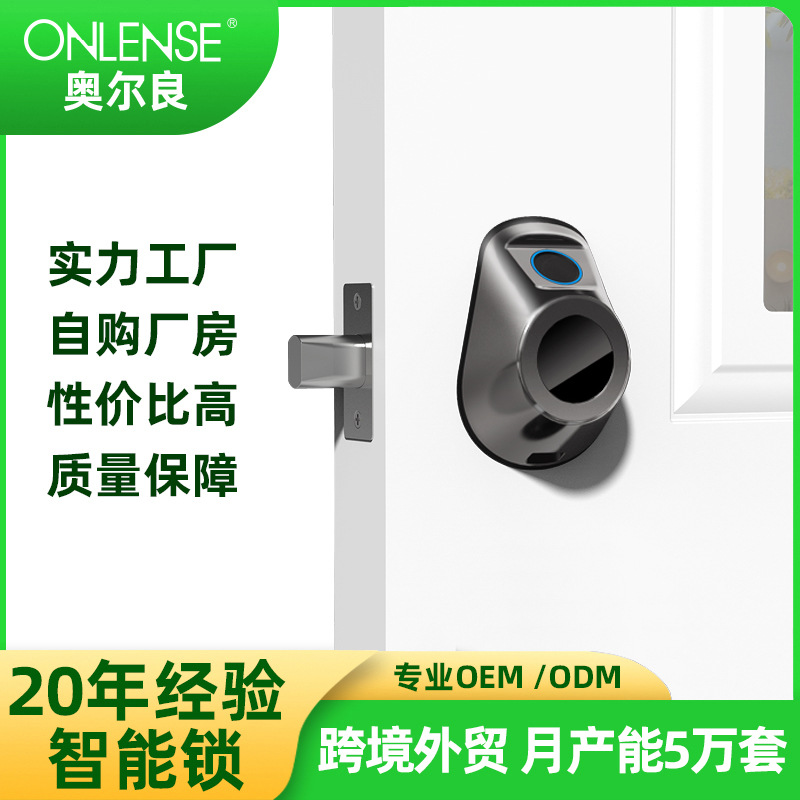 北美跨境专供厂家直销新款tuya指纹钥匙智能呆锁跨境智能锁亚马逊