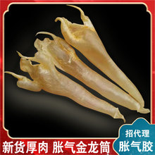 ���r��؛���~�zͲ����Û������z�����q�⹫�z�~�z�������l