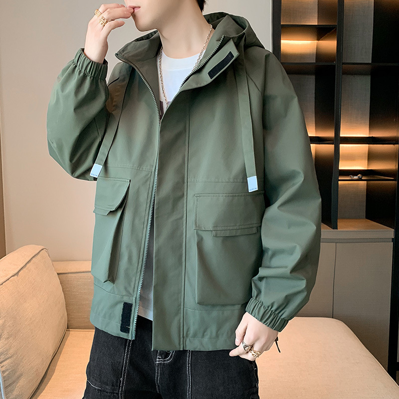 Như ảnh