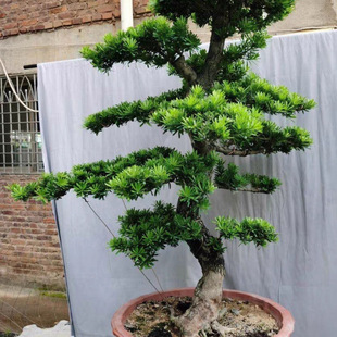 �_�h�ɘ����辰�Ϙ����ʹ�С���ԾGֲ���k���҃ȿ͏dͥԺ���B