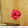 Single diamond rose [insertion rod]
