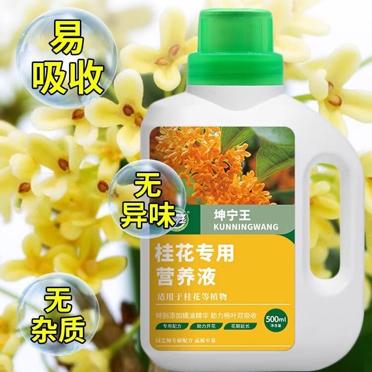 桂花樹専用肥料養生栄養液室内緑植養花窒素リンカリウム花肥通用水溶体肥|undefined