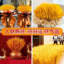 ����Ʒ����Ȼ�������S������ɻ����_�I���@�����������lԴ�^�S��