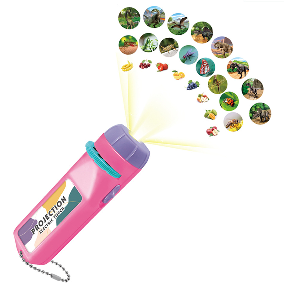 Ciencia y Educación DE LOS NIÑOS juguetes cognitivos dinosaurio insectos fruta proyección linterna proyección