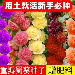 ������Nһ�ɼt�ذ����������ͥԺ�������ļ��׻�����͟��ͺ�