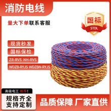 ����늾��S�� ZR-RVS,NH-RVS,WDZB-RYJS,WDZBN-RYJS2*1.5, 2*2.5