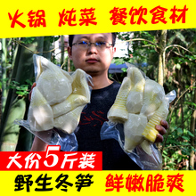 2024�Ĵ��󶬹S���r5���bҰ��������Sˮ��S���S��ˮ���S���b