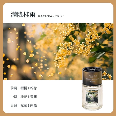 Luxury Car-Mounted Spray Aromatherapy Diffuser: Car Perfume Aromatherapy - garden-full-of-cinnamon-rain