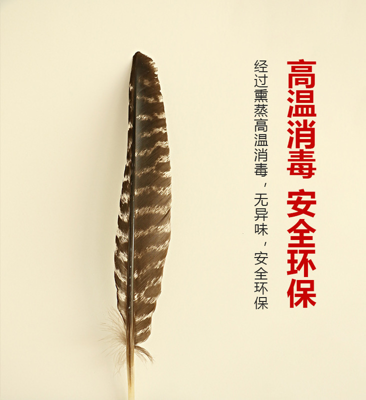 美国加州黑火鸡羽毛白鼠尾草净化引导羽毛风元素祭坛仪式圣品 图 5