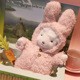 ����bunniesС����ż����ͬ��d���оW�t����С����ë�q���