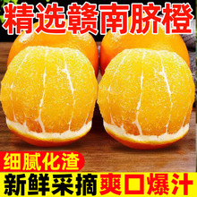 ���������M��Ě�����r����ˮ���a��ֱ�l�������ӬFժ������lĚ��