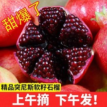 突尼斯软籽石榴新鲜水果10斤大果整箱甜四川会理石榴无籽时令应季