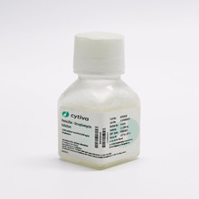 Cytiva SV30010 青链霉素双抗,100ml/瓶