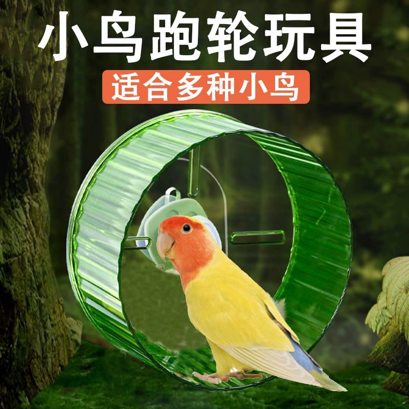 Попугай бегает на колесах игрушка, чтобы облегчить скуку