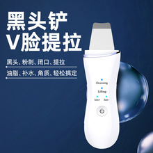 �����PƤ�C���݃xؓ�x���坍ë�׺��^�۴̌����x���݃x�����w