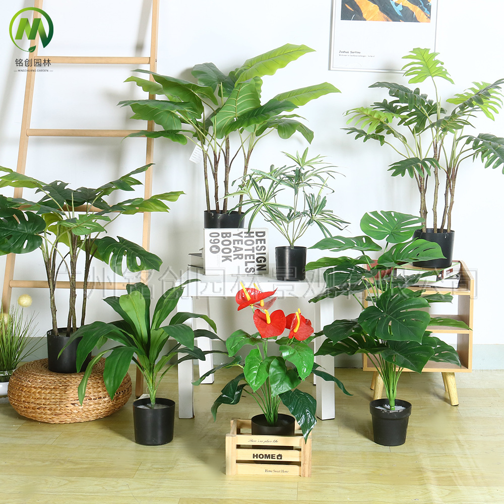 Paisaje interior del suelo, planta pequeña de hoja grande, planta pequeña, planta de taro de hadas, 60cm, planta verde de simulación de monstera, planta pequeña en maceta image 1