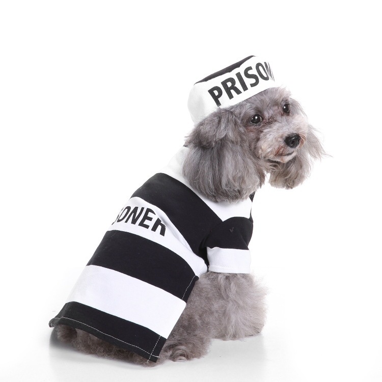 人気ペット犬犬用品起爆ニットセーターカボチャ変身服呪術師服万クリスマスペット|undefined